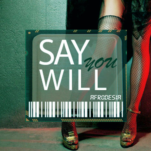 Say You Will